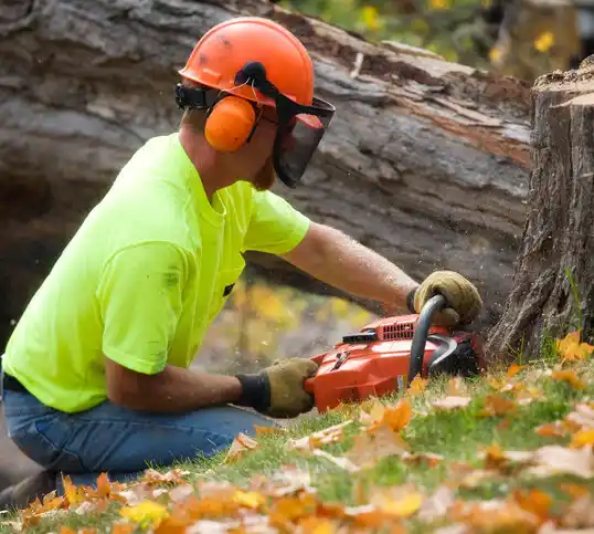 tree services Wrightstown